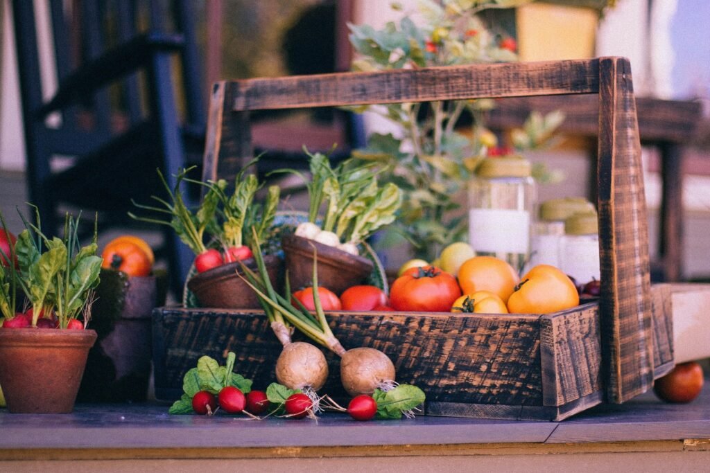 Plants Not Growing? Try These Proven Organic Methods
