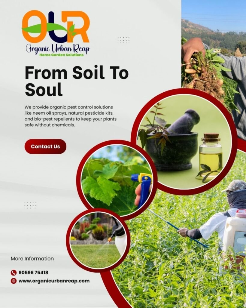 Pests Without Chemicals