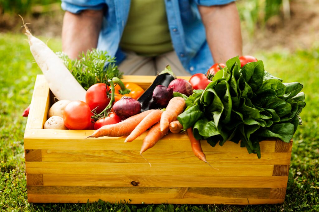 grow fresh vegetables at home : essy tips