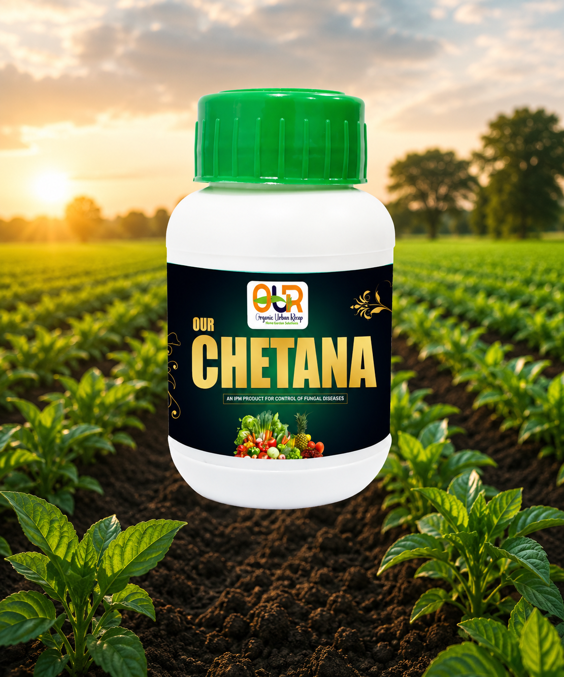 OUR Chetana