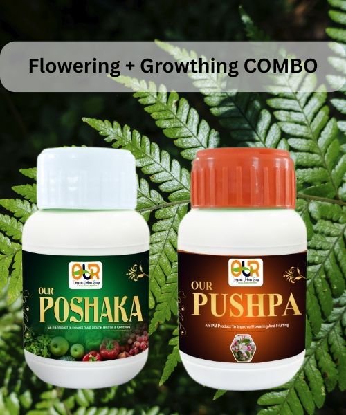 Top Organic Fertilizers Available in Hyderabad | Best Natural Plant Nutrition Guide