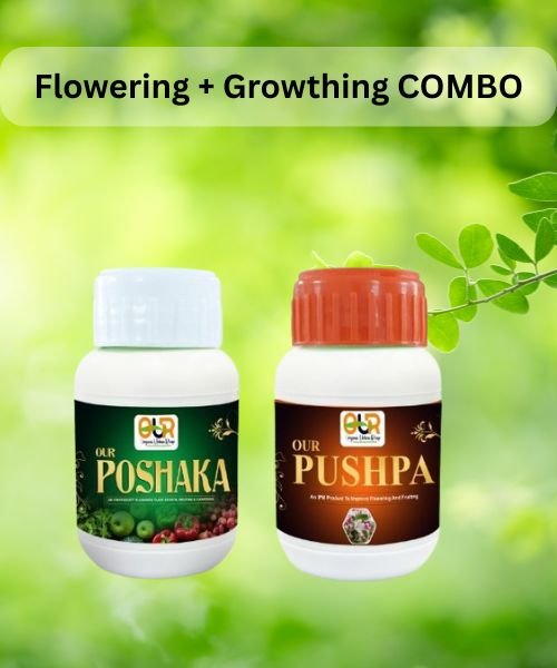 OUR Flowering + Growthing COMBO