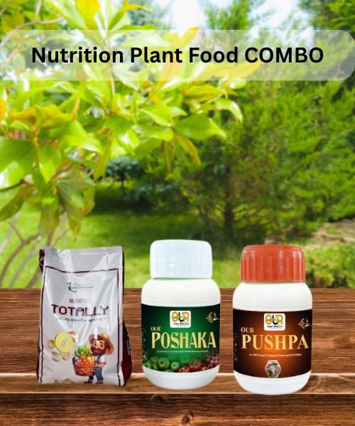 OUR Nutrition Plant Food COMBO (Totally 2KG included)