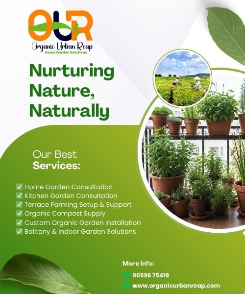 How to use neem oil for pest control in plants