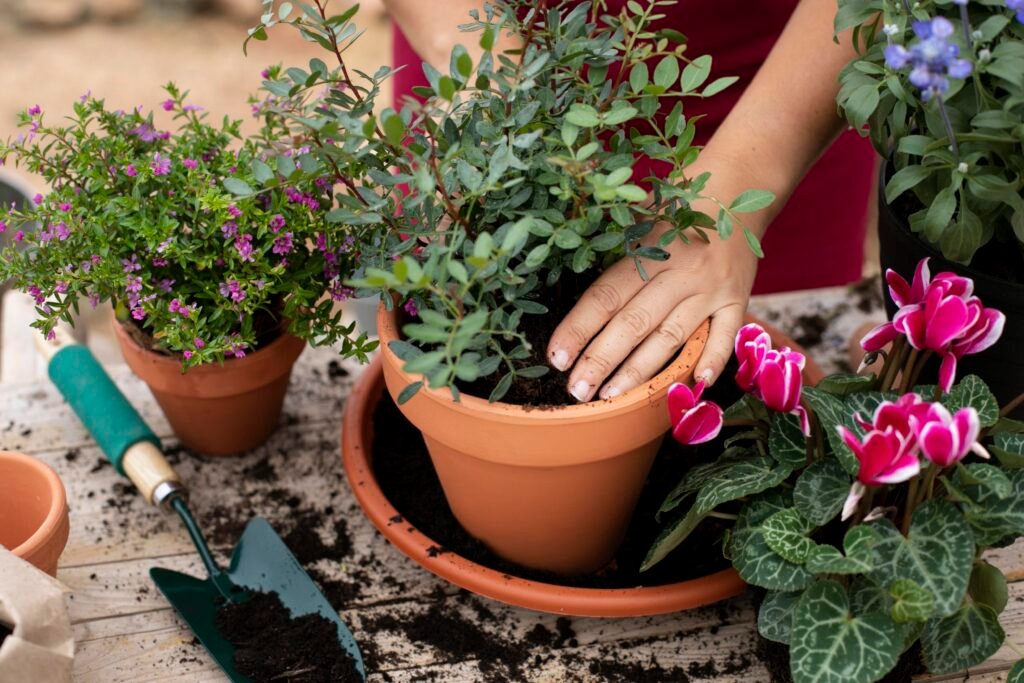 Top Balcony Gardening Ideas