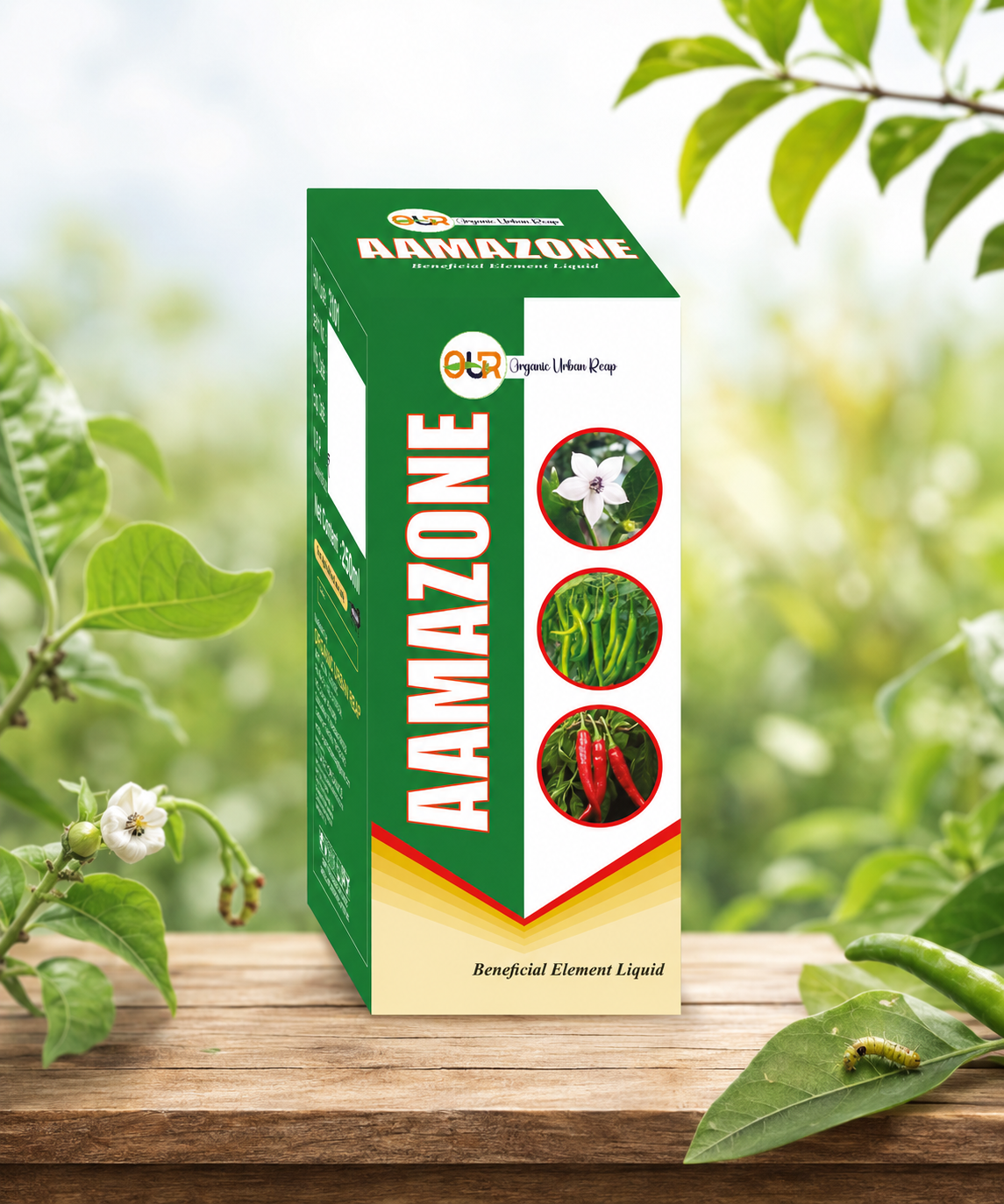 OUR Aamazone