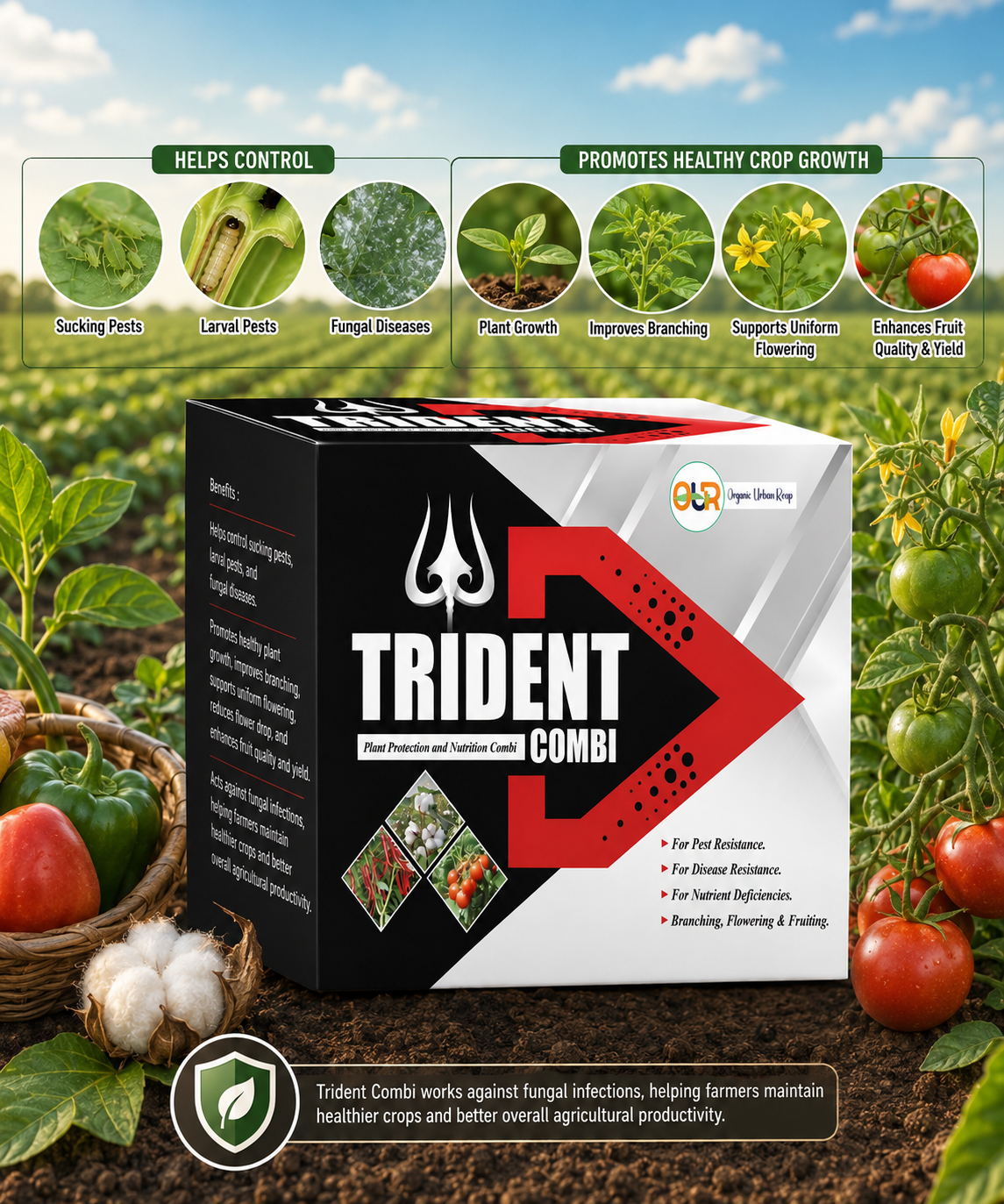 OUR Trident Combi