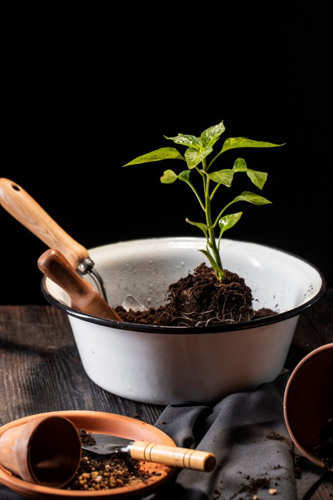 How to Improve Soil Health Naturally for Urban Farming | Organic Urban Reap