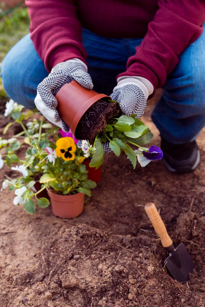 Organic Gardening Tips for Better Plant Growth at Home | OUR