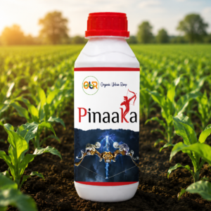 OUR Pinaaka
