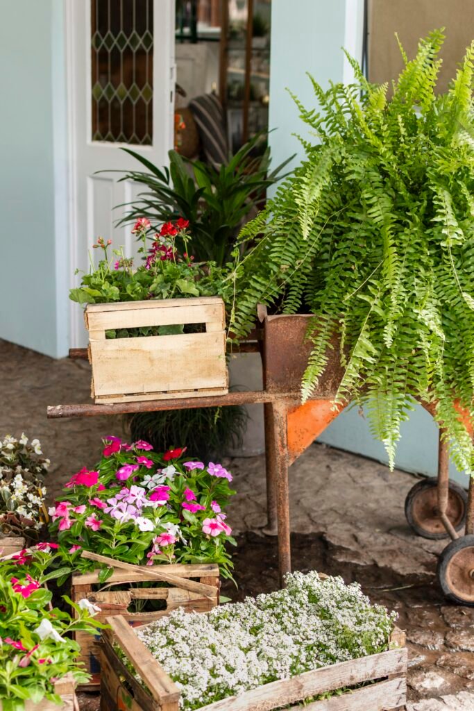 How to Protect Vegetable Plants from Pests Naturally | OUR