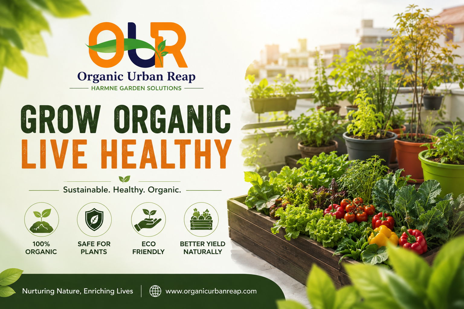 Best Vegetables to Grow in a Terrace Garden