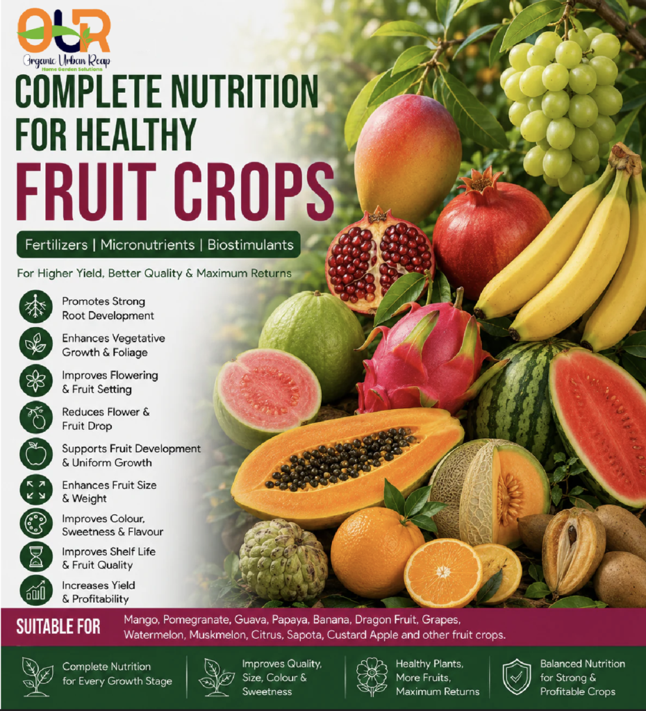 Best Plant Nutrition Products Near Me for Healthy Crop Growth