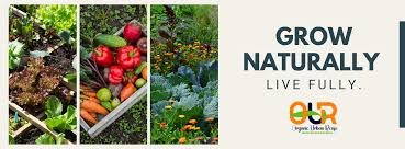 Best Plant Nutrition Products Near Me for Healthy Crop Growth