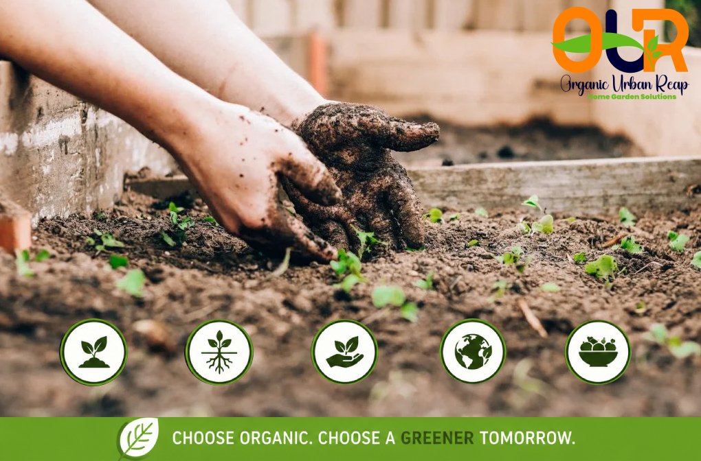 Why Organic Gardening Is More Important Than Ever
