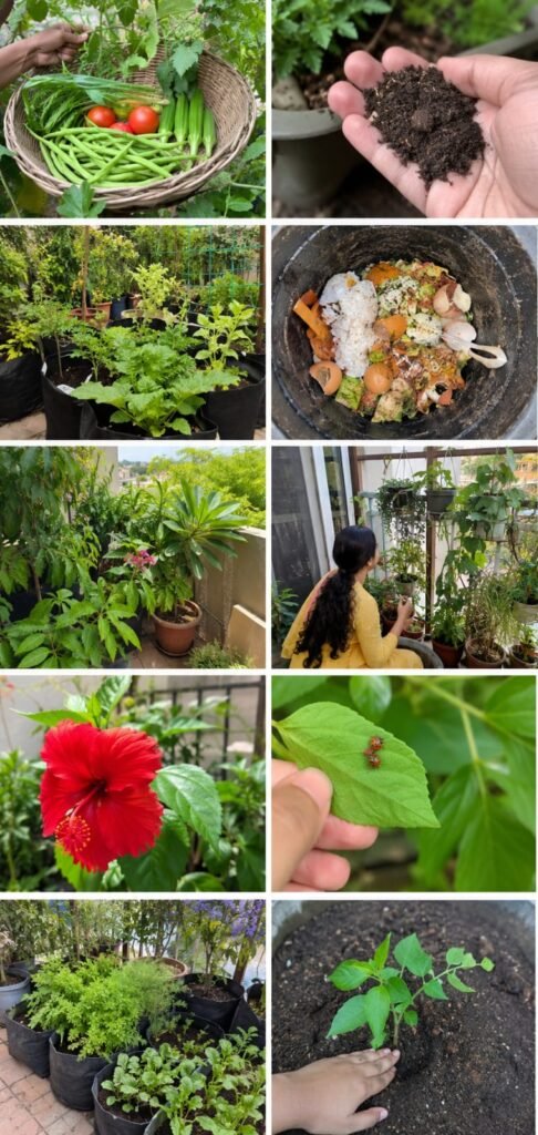 Top 10 Reasons to Start Organic Gardening at Home