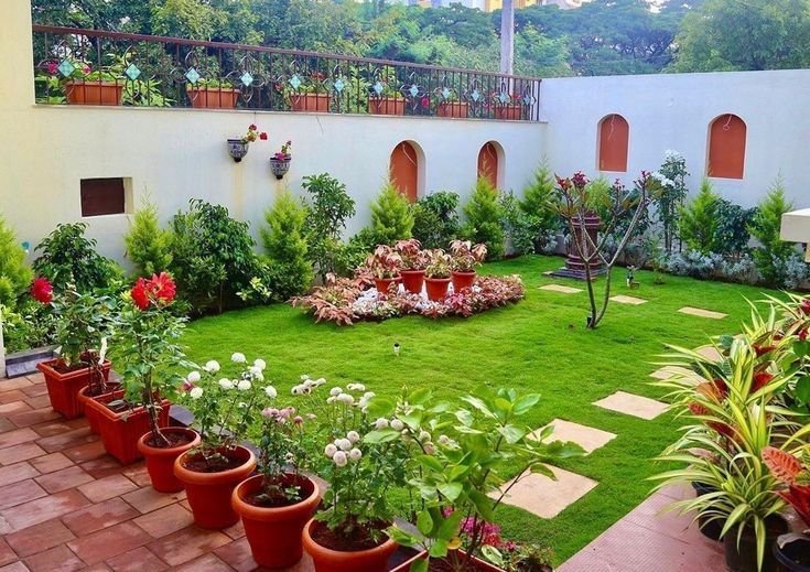 Liquid vs. Granular Fertilizer: The Ultimate Urban Gardening Guide