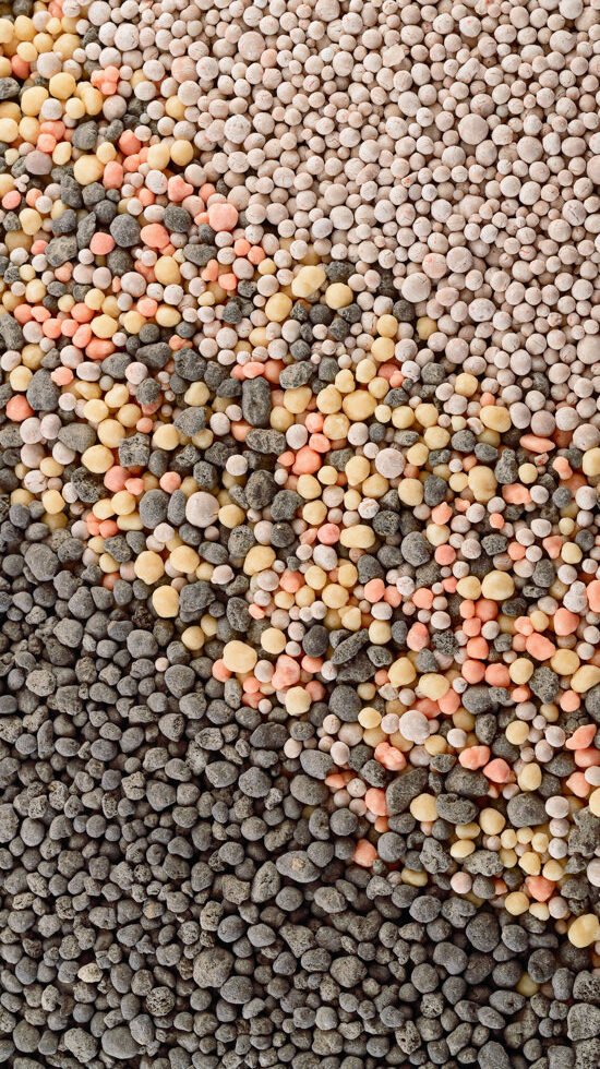Liquid vs. Granular Fertilizer: The Ultimate Urban Gardening Guide