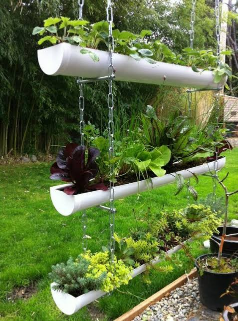 Why Organic Gardening Is More Important Than Ever