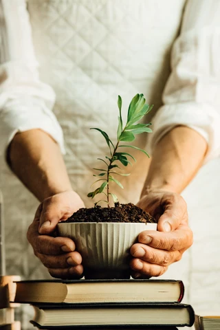 How Plant Care Supports Better Mental Health and Well-Being