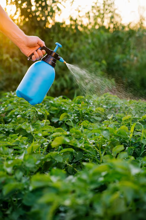 Best Agricultural Sprays for Healthy Crops and Higher Yields