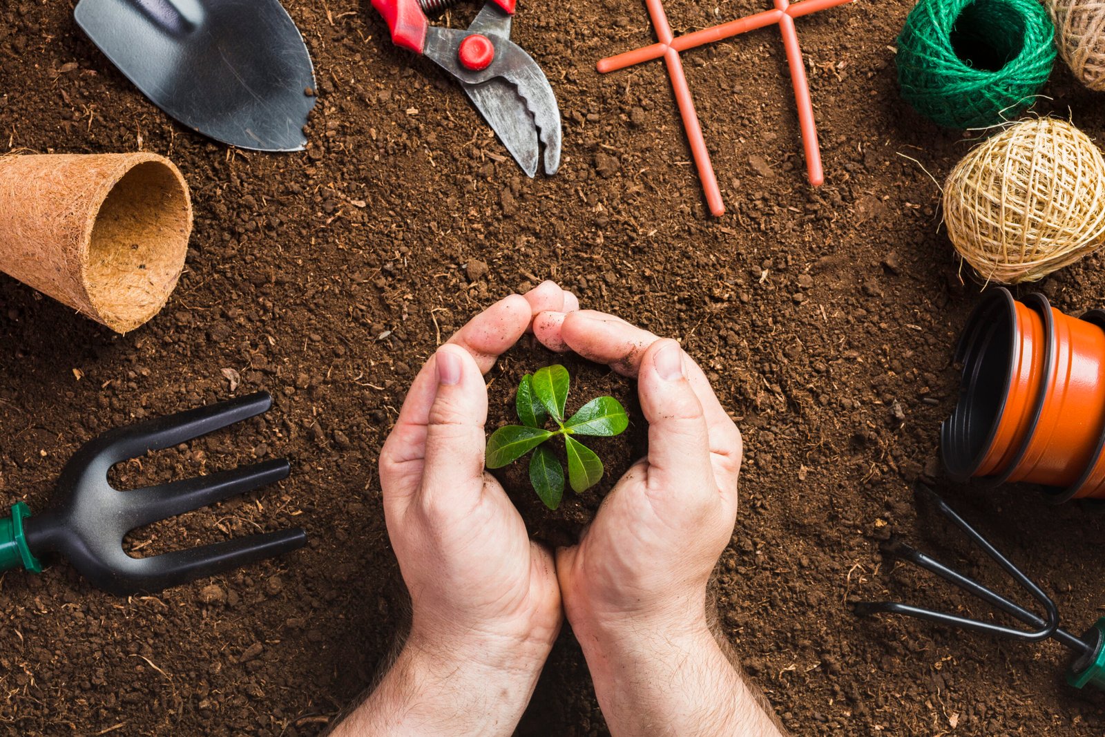 Organic Gardening Store Near Me: Products Every Gardener Needs