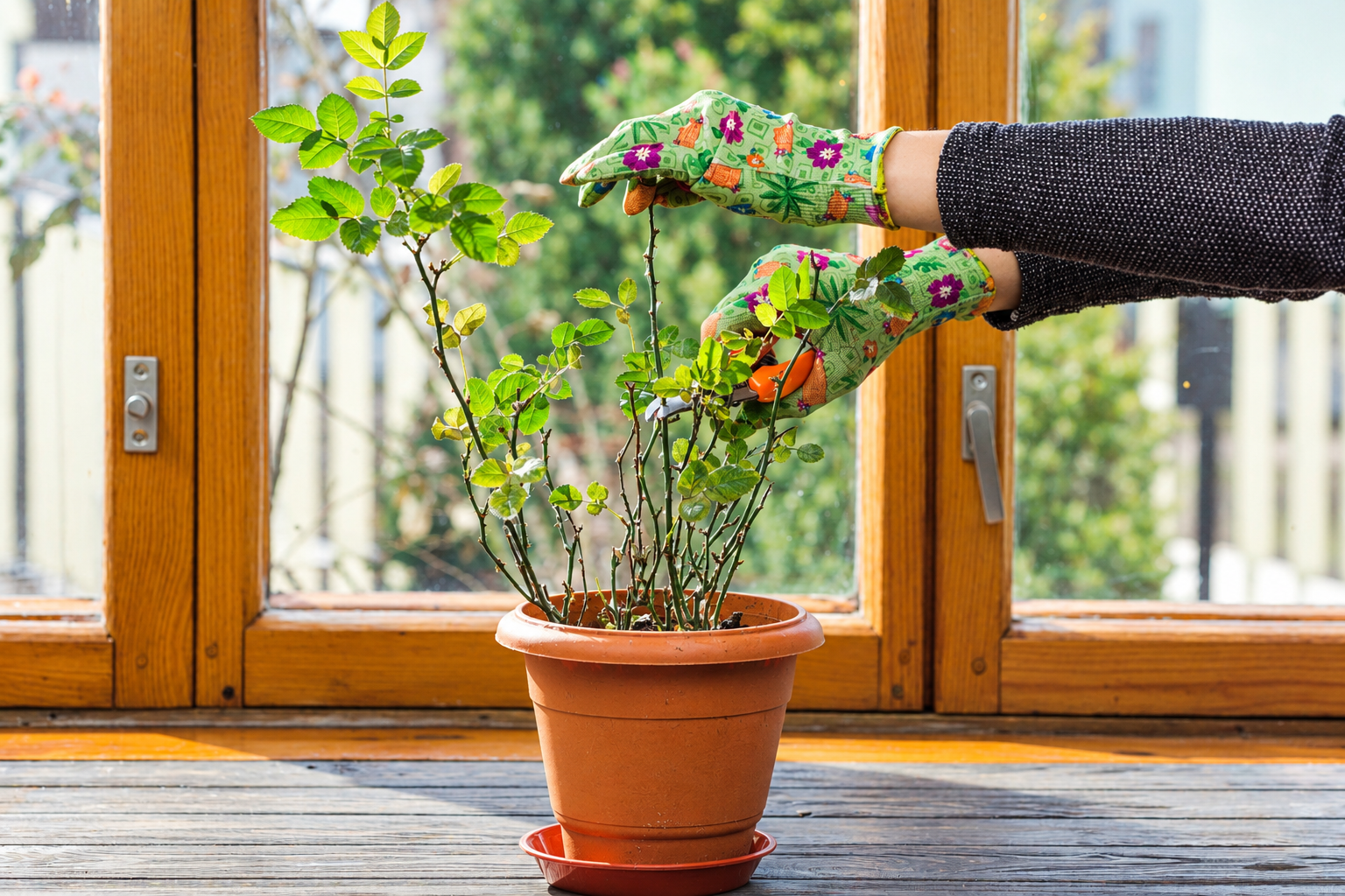 Balcony Gardening Ideas for Small Apartments in India