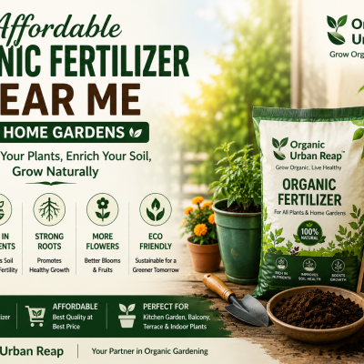 Affordable Organic Fertilizer Near Me for Healthy Home Gardens