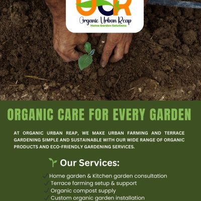 How to turn your rooftop into a mini farm