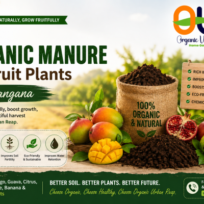 Best organic manure for fruit plants in Telangana