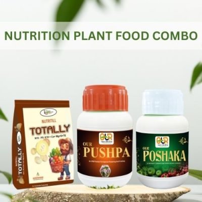 Best Fertilizers for Flower Plants in Pots | Top Organic Plant Nutrition Guide