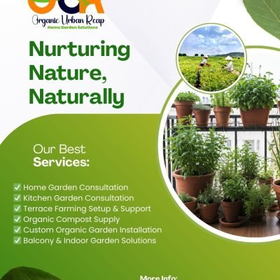 Best organic seeds for terrace gardening in Hyderabad
