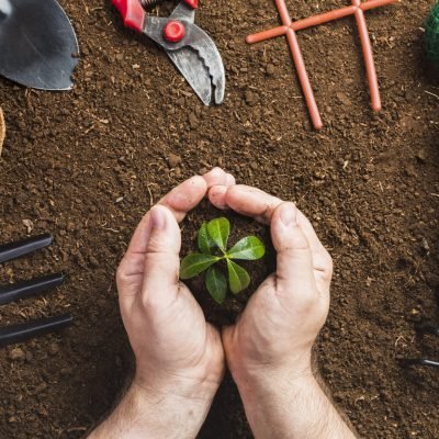 Organic Gardening Store Near Me: Products Every Gardener Needs