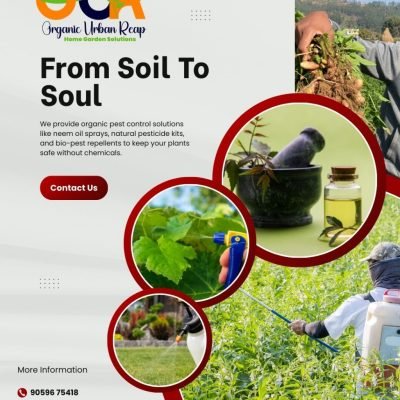 Plant Protection From Pests Without Chemicals | Natural & Organic Gardening Solutions