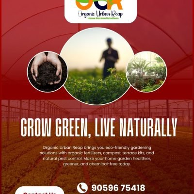 Organic terrace gardening services in Vijayawada