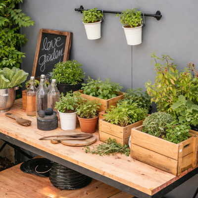 Where to buy organic fertilizers in Hyderabad