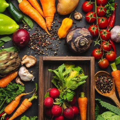 Best Indoor Organic Grow Kits for Beginners in Small Spaces