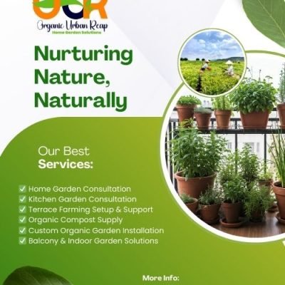 How to use neem oil for pest control in plants