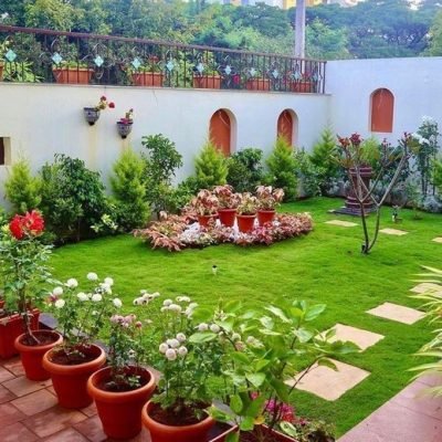 Liquid vs. Granular Fertilizer: The Ultimate Urban Gardening Guide