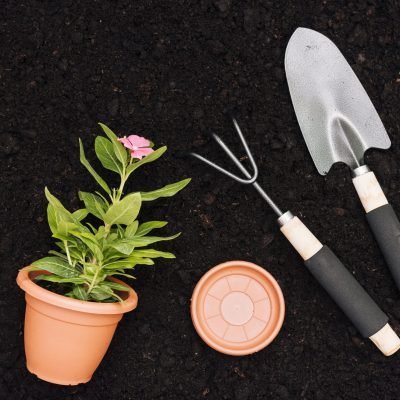 How to Choose the Best Organic Fertilizers in Hyderabad