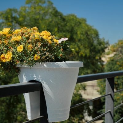 flowers, pots, decoration, hotel, hotel, idea, design, chateau, interior, flowering, balcony,