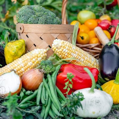 Composition of fresh vegetables in baskets on blurred vegetable garden background, harvest concept.