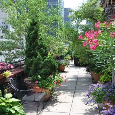 Affordable terrace garden setup services in Hyderabad
