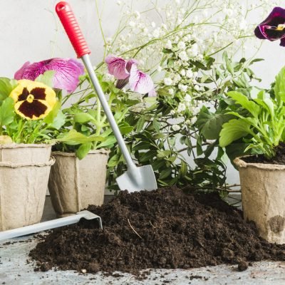 Home gardening services in Hyderabad | Organic Urban Reap