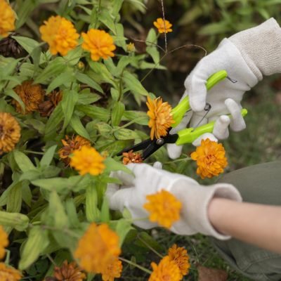 Plants Not Growing? Try These Proven Organic Methods