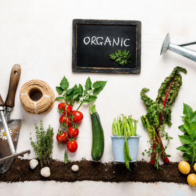 Trusted Organic Fertilizer Dealers in Hyderabad | Best Deals