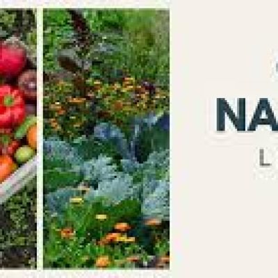 Best Plant Nutrition Products Near Me for Healthy Crop Growth