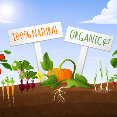 10 Easy Gardening Tips Every Beginner Should Know