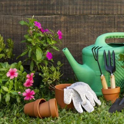 How to Start a Home Gardening in Hyderabad: Complete Guide
