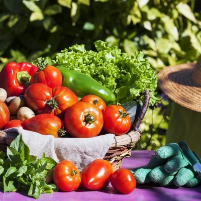 Vegetables in a basket under the sunlight